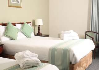 Отель Auburn Lodge Hotel & Leisure Centre Эннис Двухместный номер с 1 кроватью или 2 отдельными кроватями-5